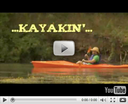 The Daytripper video