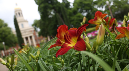 beauty-may12 Baylor campus