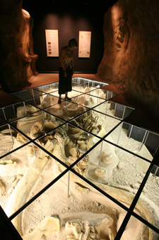 Mammoth site replica at Mayborn Museum