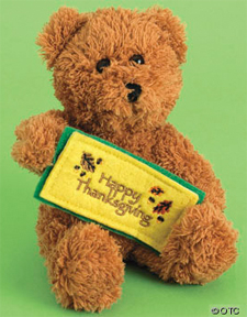 Thanksgiving bear