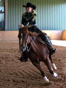 Baylor equestrian
