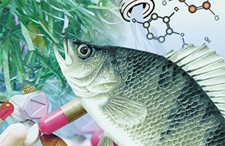 fish and pharmaceuticals