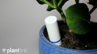 'I'm thirsty!': Alums' product allows plants to text you when they need water