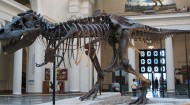 What killed the dinosaurs? Baylor geology researcher part of new study