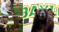 Celebrating Joy & Lady -- THE Baylor Bears!