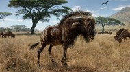 Baylor professor uncovers wildebeest-like species with unique adaptation