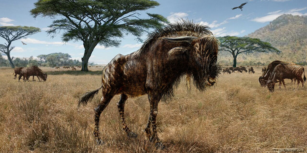 Rusingoryx atopocranian, as depicted by artist Todd Marshall