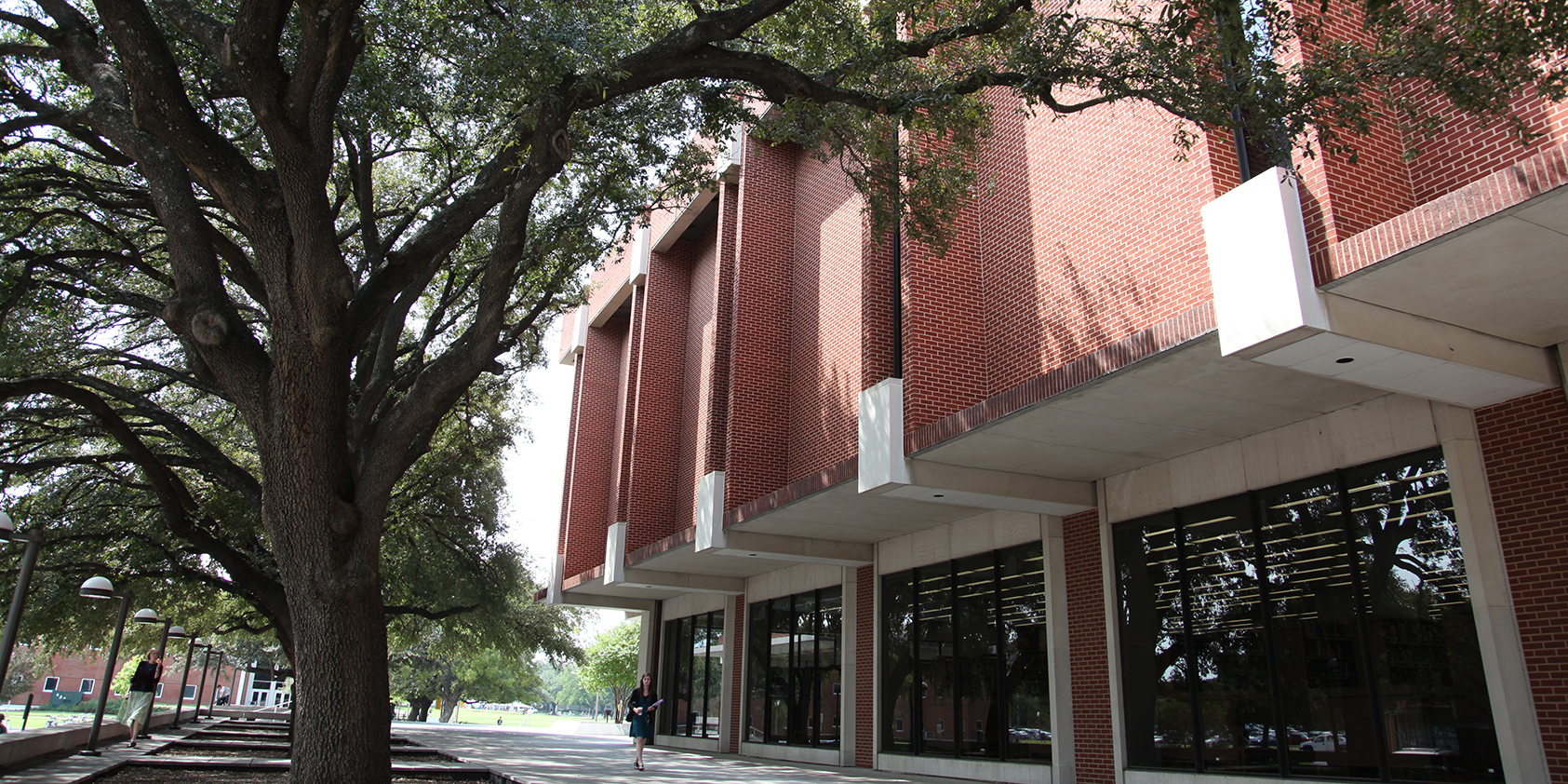 Baylor Moody Memorial Library 50 years