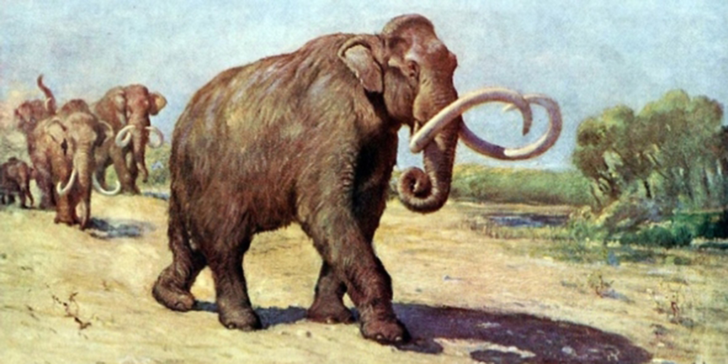 Baylor Waco mammoths new theory