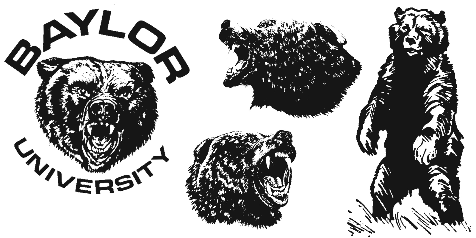 Late 1960s "Growling Bear" Baylor logo variants