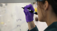 Baylor graduate programs fare well in latest U.S. News rankings