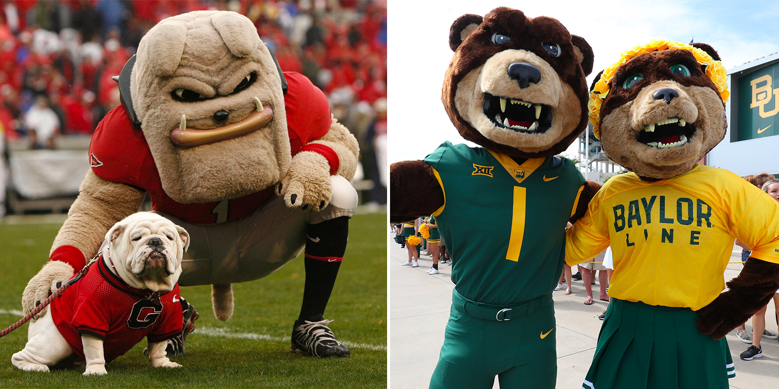 Georgia mascots Uga and Hairy Dawg, and Baylor mascots Bruiser and Marigold