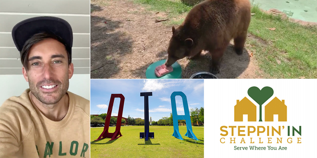 Collage: Phil Wickham, Baylor's live bears, DIA sign on Fountain Mall, Steppin' In logo