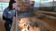 Waco Mammoth National Monument celebrates 5 years as part of the National Park Service