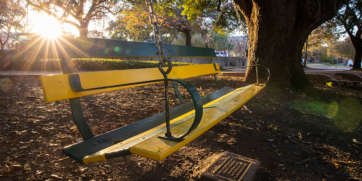 A Baylor bench swing at sunset