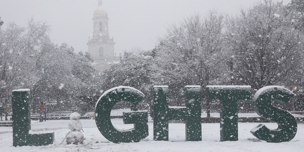 Baylor "Lights" sign in the snow