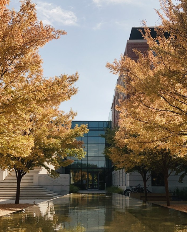 Foster Campus for Business and Innovation with fall trees changing colors