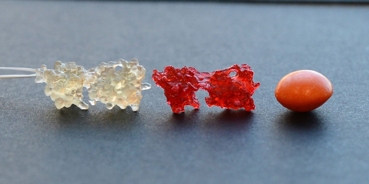 Gummy "candy" models, compared to a Skittles candy