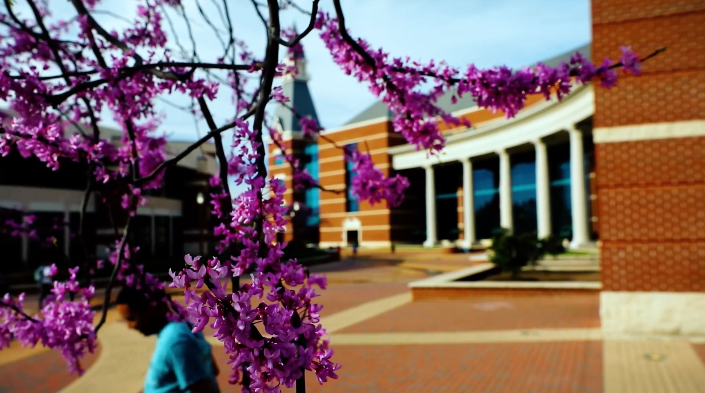 Panoramic shot of flowers outside the Baylor Sciences Building
