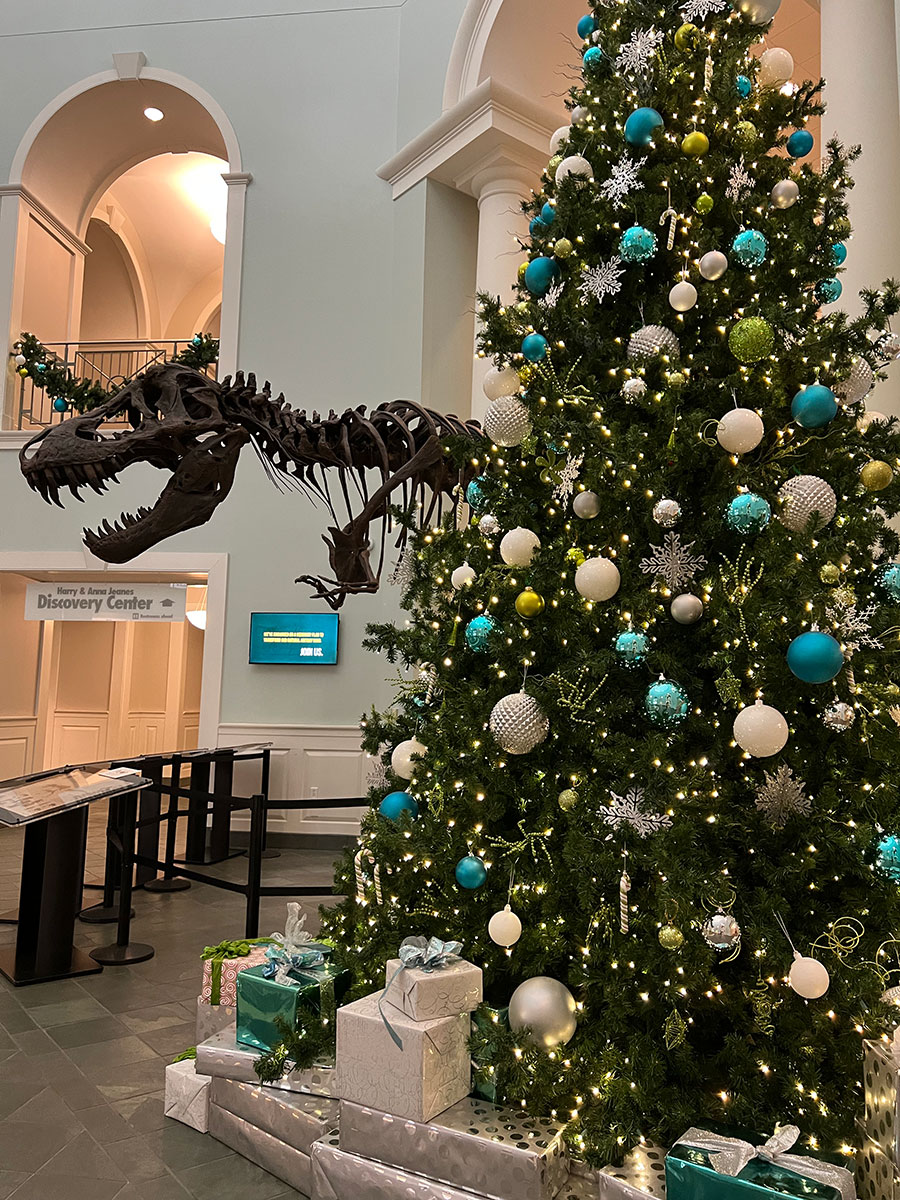 Christmas tree (and T-Rex skeleton) at the Mayborn Museum