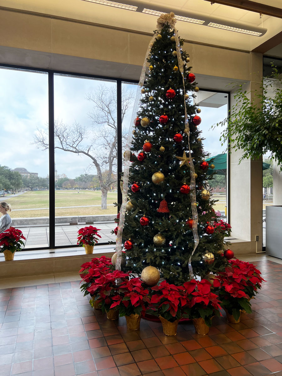 Christmas tree inside Moody Memorial Library