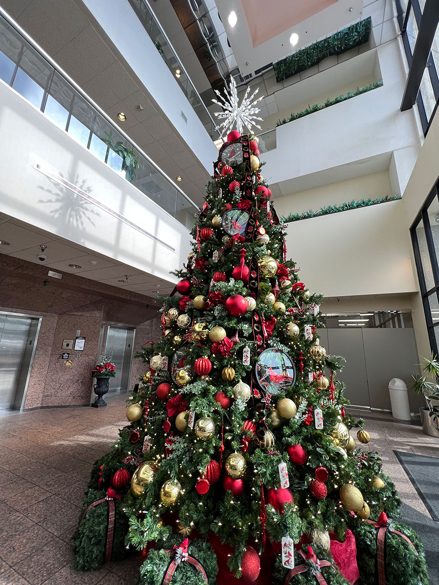Christmas tree in Robinson Tower