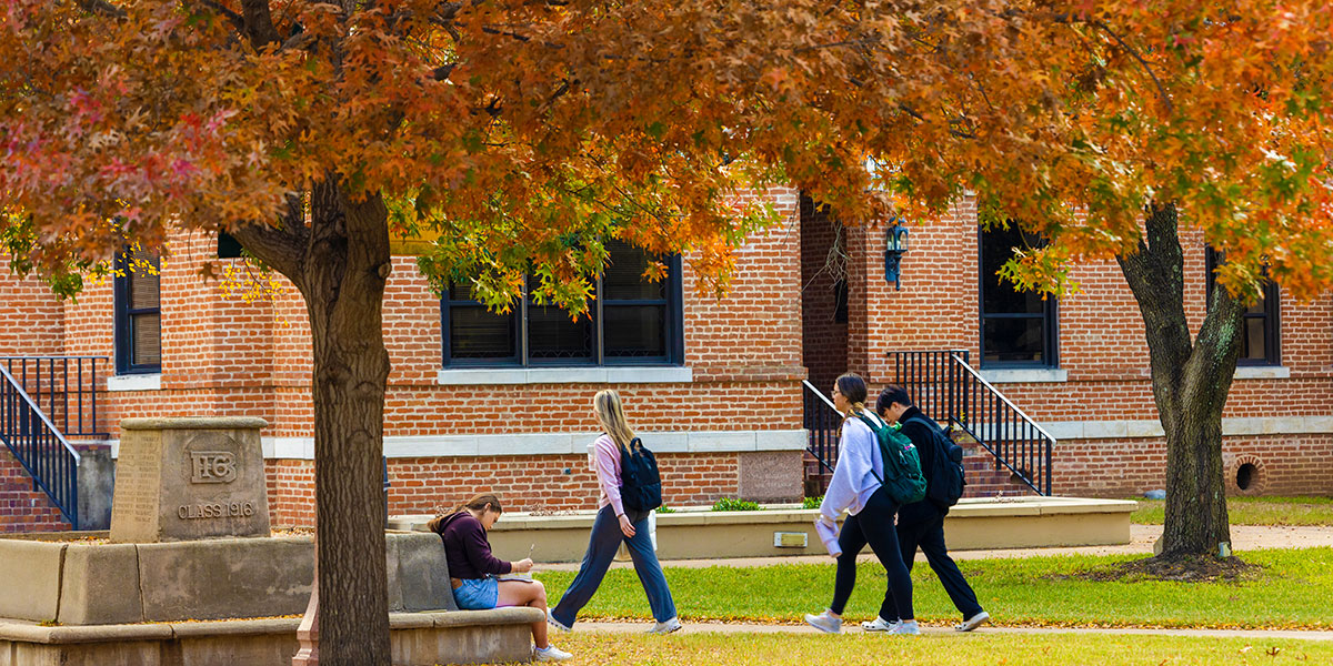 Students walking in the Quadrangle beneath trees in fall colors