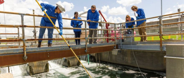 Baylor research, from 'bugs delivering drugs' to a student improving heart transplant treatment