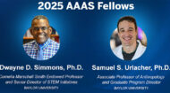 Elite Honor: Two more Baylor profs earn prestigious AAAS Fellow recognition