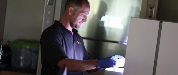 Research for the Gut: 3 ways Baylor researchers promote microbiome health