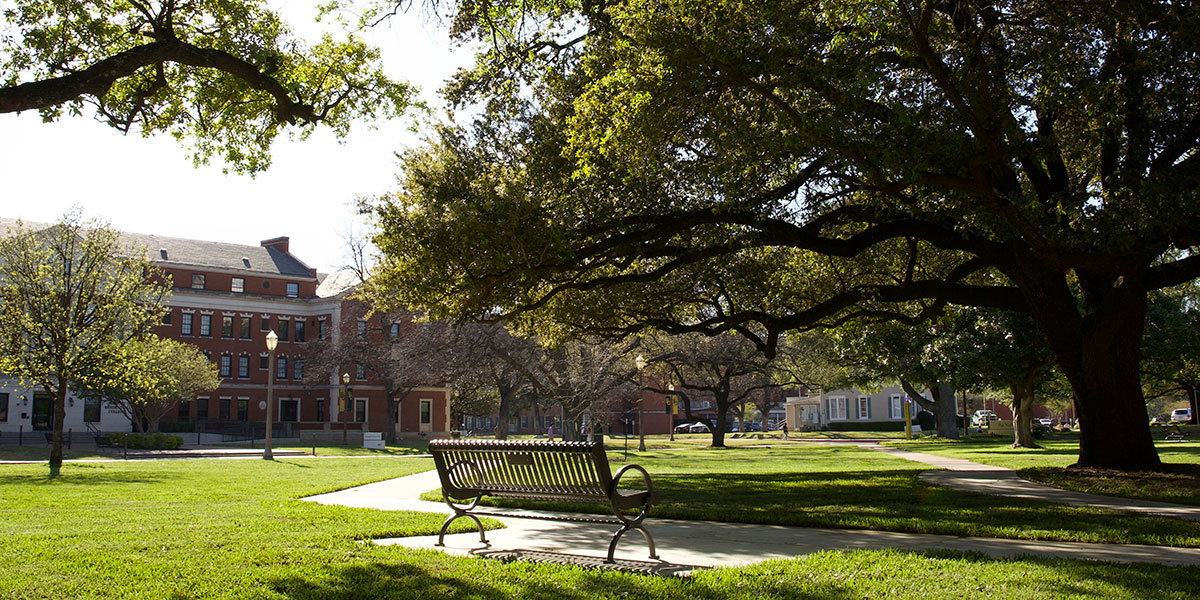 Trees and a grassy area on the Baylor campus